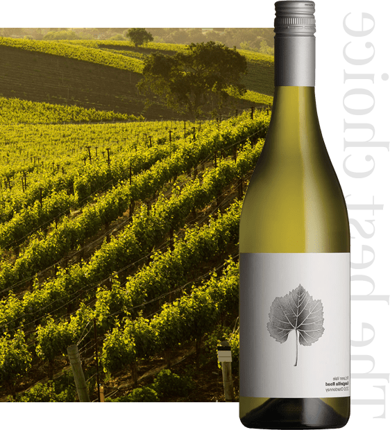 wine-menu-right-img-min-1